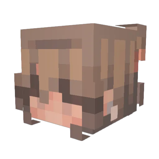 sugertoxity Minecraft avatar head, 3D render