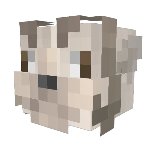 suhbruh Minecraft avatar head, 3D render