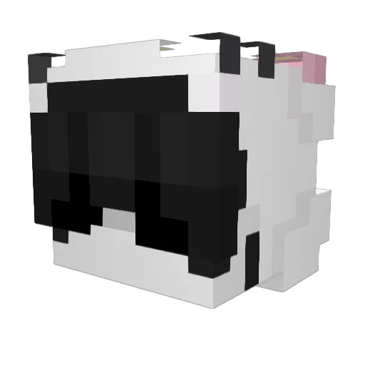 suhnuto Minecraft avatar head, 3D render
