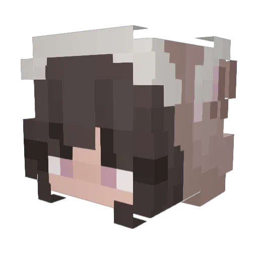 suhphiah Minecraft avatar head, 3D render