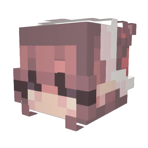 suhreeen Minecraft avatar head, 3D render