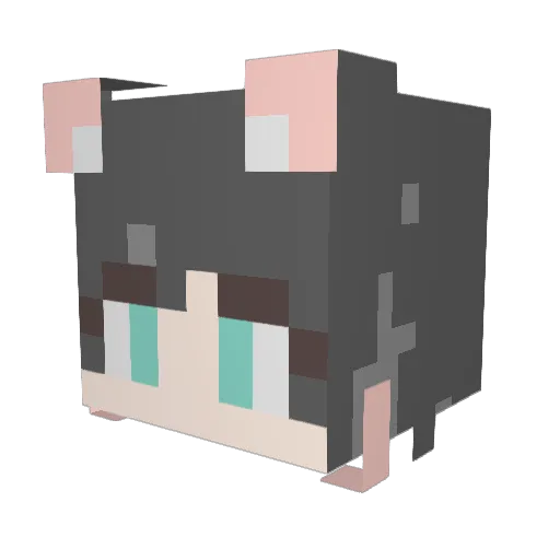sui_otori Minecraft avatar head, 3D render