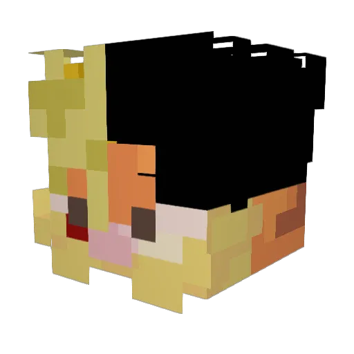 suieheat Minecraft avatar head, 3D render