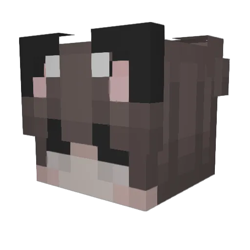 suigetsu187 Minecraft avatar head, 3D render