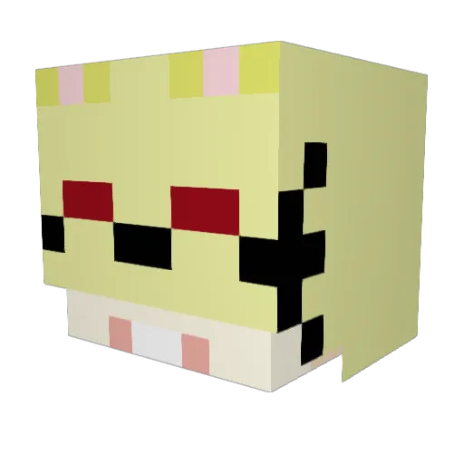 suin05 Minecraft avatar head, 3D render