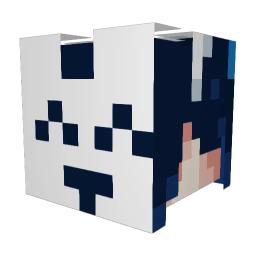 suiseimushi64 Minecraft avatar head, 3D render
