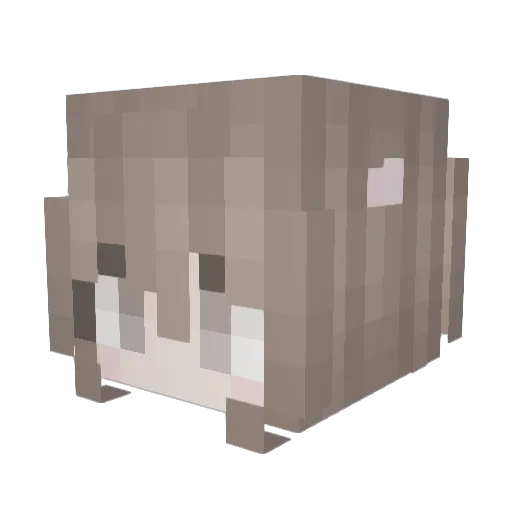 suivie Minecraft avatar head, 3D render