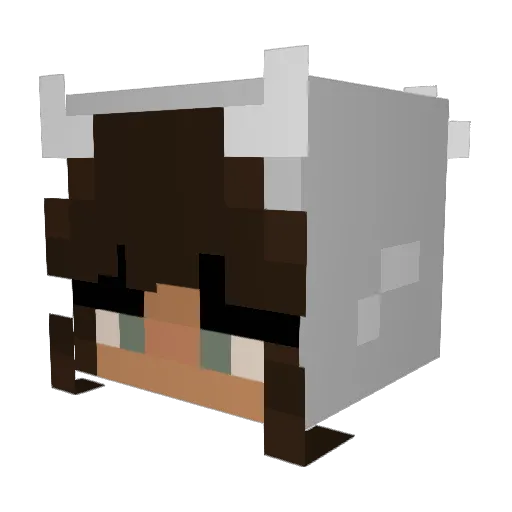 suki_ayla Minecraft avatar head, 3D render