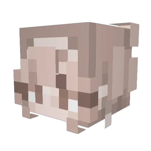sukisapphire Minecraft avatar head, 3D render
