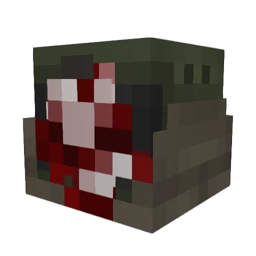 sukkabliet Minecraft avatar head, 3D render