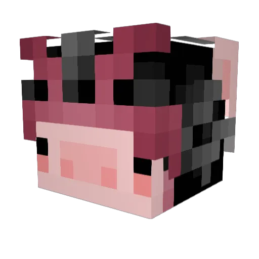 sukzboba Minecraft avatar head, 3D render