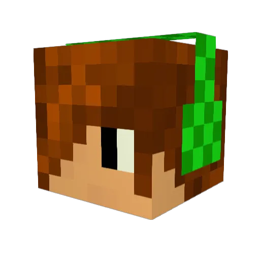 sulli29410 Minecraft avatar head, 3D render