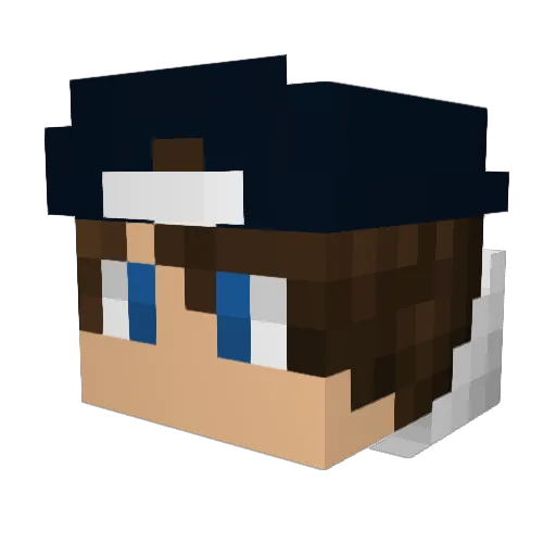 sulsa0808 Minecraft avatar head, 3D render