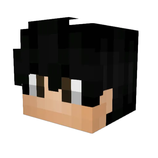 sum1dyin Minecraft avatar head, 3D render