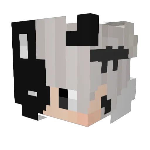 sumeao Minecraft avatar head, 3D render