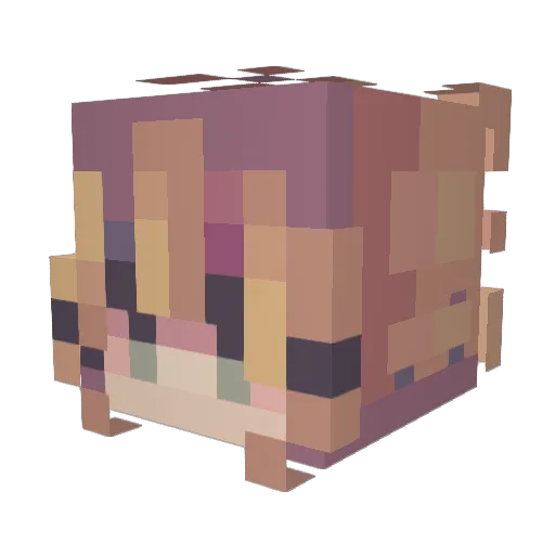 sumistry Minecraft avatar head, 3D render