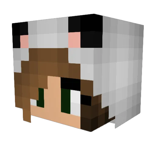 summer1356 Minecraft avatar head, 3D render