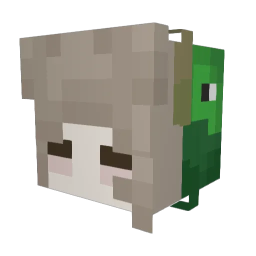 summerboss5 Minecraft avatar head, 3D render