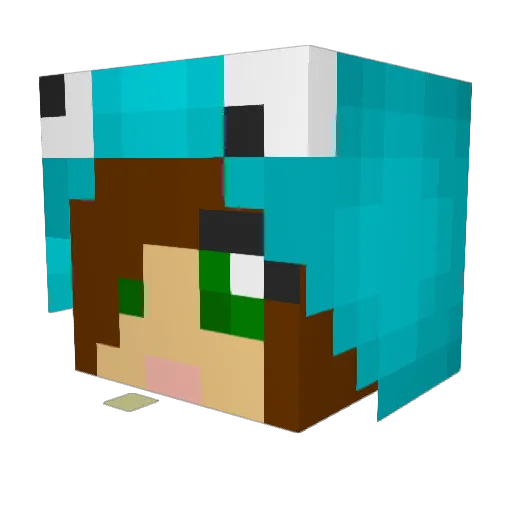 summerisawesome Minecraft avatar head, 3D render