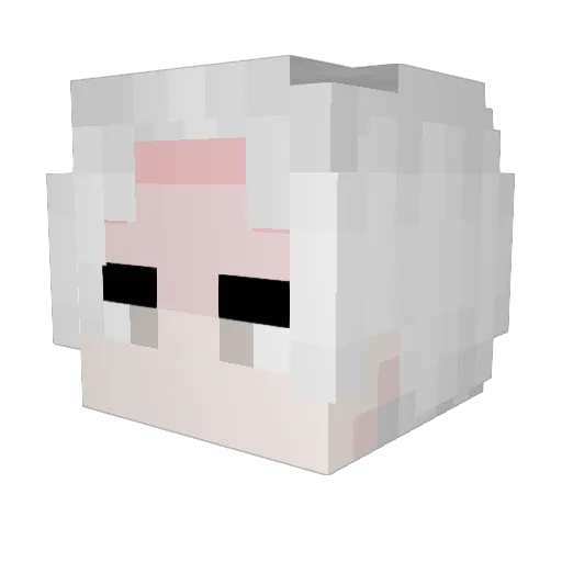 summerlone Minecraft avatar head, 3D render