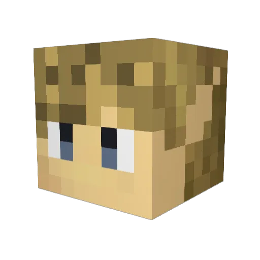 summersafari22 Minecraft avatar head, 3D render