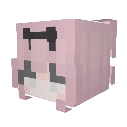 summershower Minecraft avatar head, 3D render