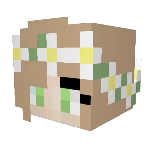 summersparkles9 Minecraft avatar head, 3D render