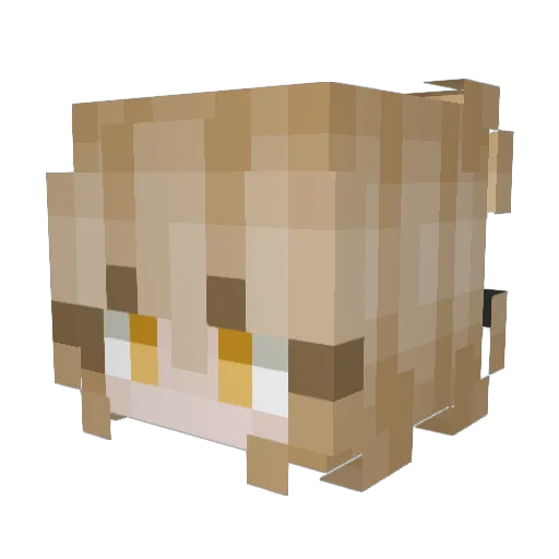 summerssolstice_ Minecraft avatar head, 3D render