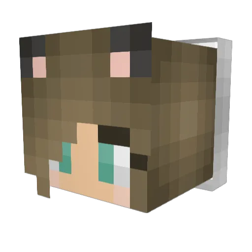 summerstar79 Minecraft avatar head, 3D render