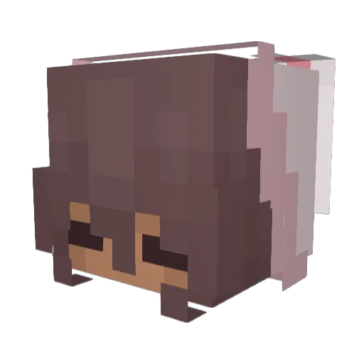 summervibes7294 Minecraft avatar head, 3D render