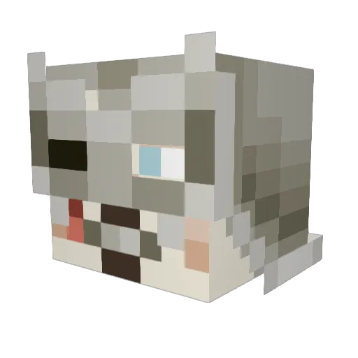 summonersam Minecraft avatar head, 3D render