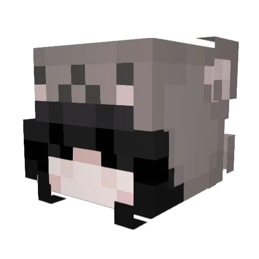 summy_alpha Minecraft avatar head, 3D render