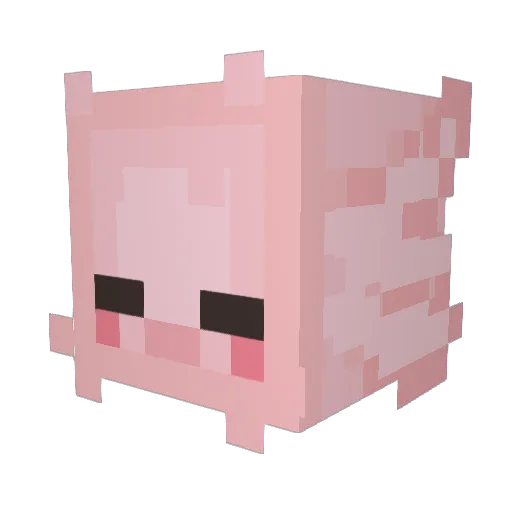 sumosee Minecraft avatar head, 3D render