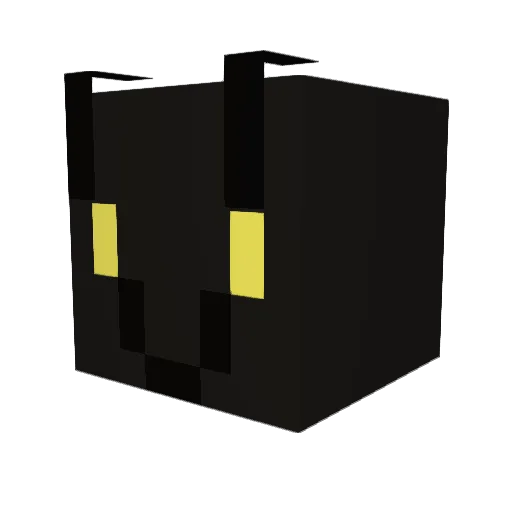 sumshinete Minecraft avatar head, 3D render