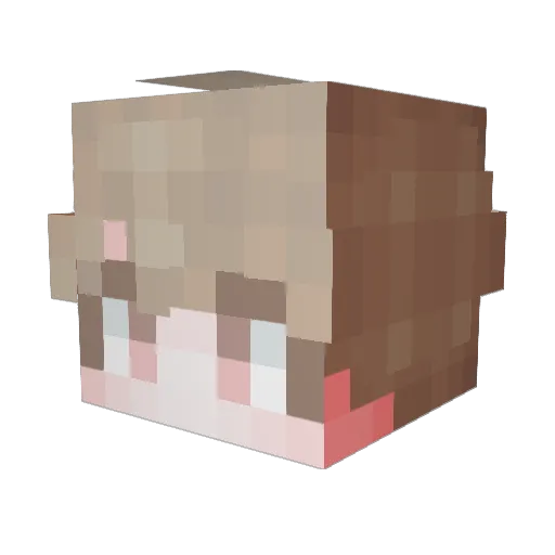 sumsseol Minecraft avatar head, 3D render