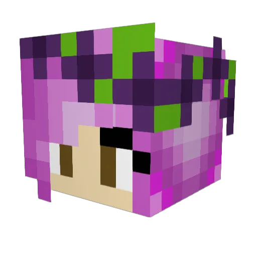 sumthinsensible Minecraft avatar head, 3D render