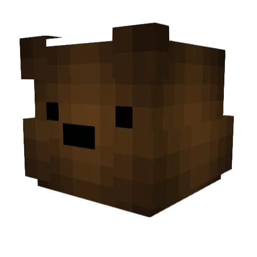 sumwell07 Minecraft avatar head, 3D render