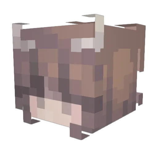 sumy45 Minecraft avatar head, 3D render