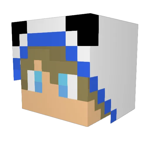sun105 Minecraft avatar head, 3D render