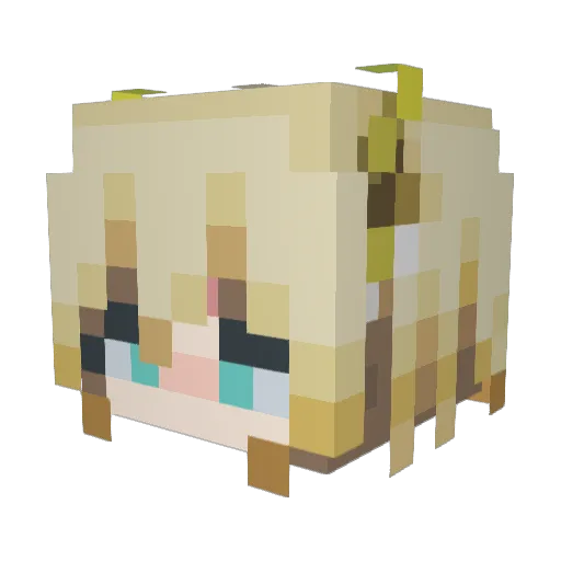 sun2050 Minecraft avatar head, 3D render
