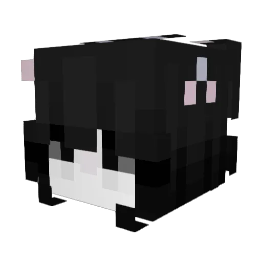 sunakai Minecraft avatar head, 3D render