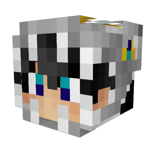sunap Minecraft avatar head, 3D render