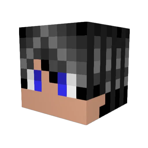 sunappuendou Minecraft avatar head, 3D render