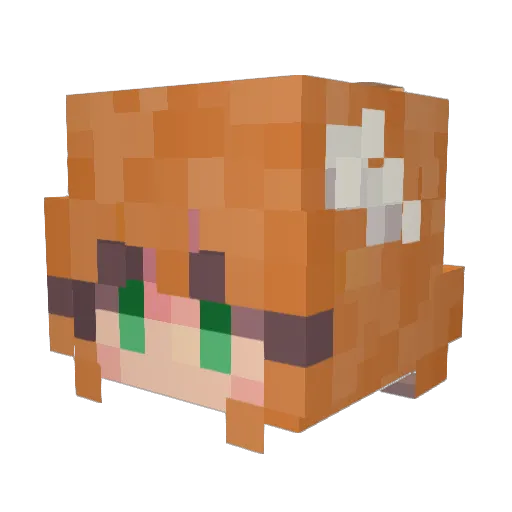 sunbearzx Minecraft avatar head, 3D render