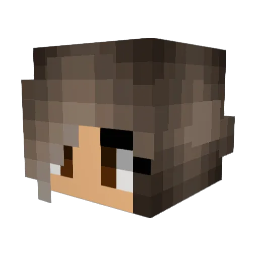 sunbum_ Minecraft avatar head, 3D render