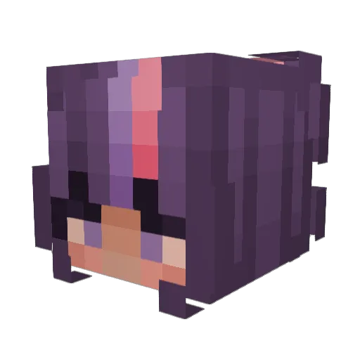sunchi3 Minecraft avatar head, 3D render