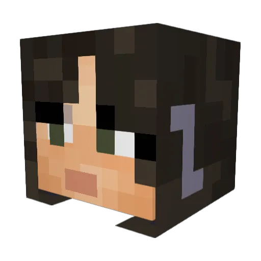 suncirclet Minecraft avatar head, 3D render
