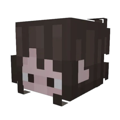 sundaysfan06 Minecraft avatar head, 3D render