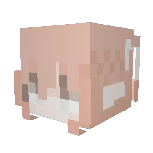 sundw Minecraft avatar head, 3D render