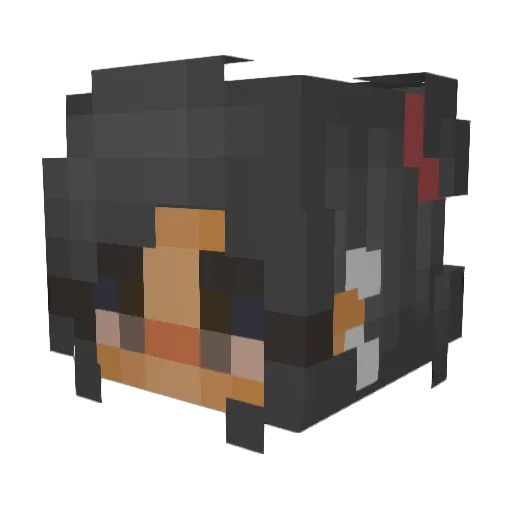 sune1269 Minecraft avatar head, 3D render